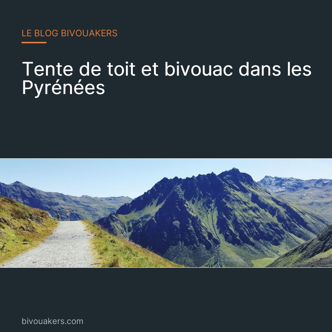 Les Pyrénées
